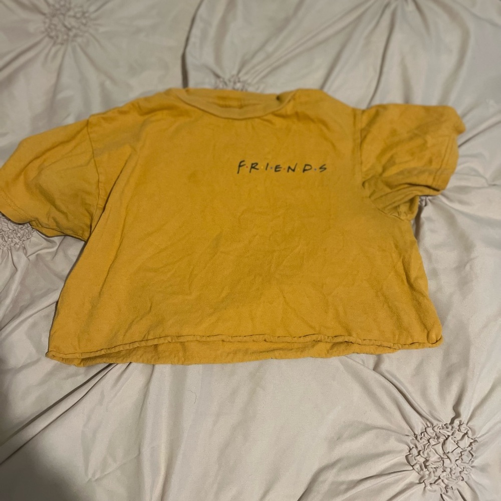 Friends crop top